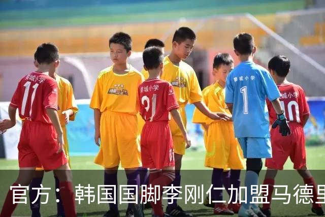 官方：韩国国脚李刚仁加盟马德里竞技 转会总价约4000万欧